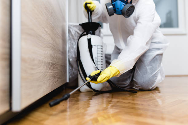 Best Bed Bug Extermination  in Gueydan, LA