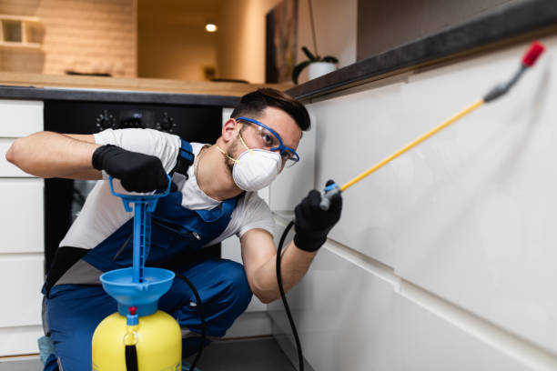 Best Pest Control for Restaurants  in Gueydan, LA