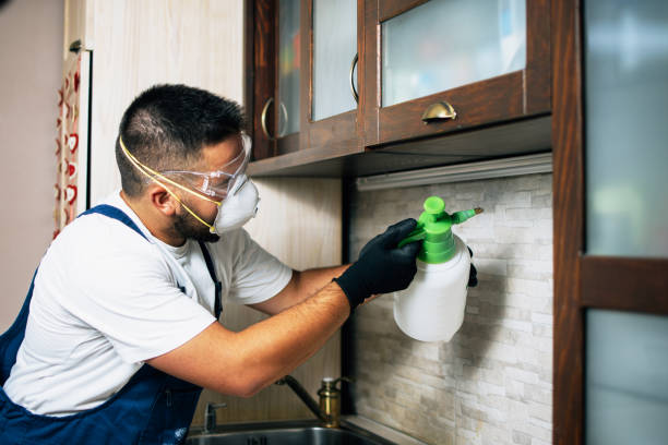 Best Insect Control  in Gueydan, LA