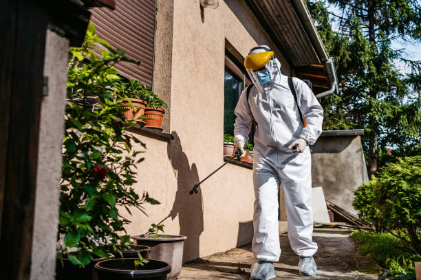 Best Spider Control Near Me  in Gueydan, LA