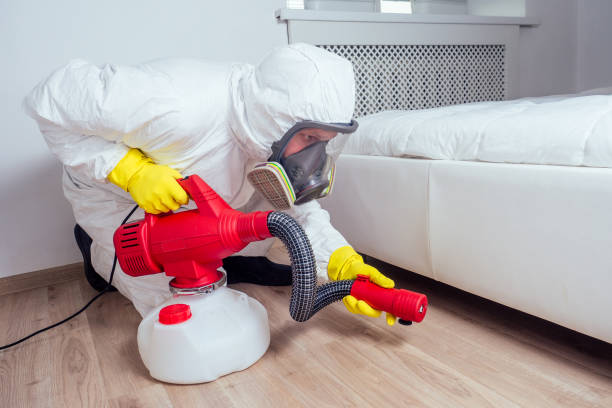 Best Pest Removal Services  in Gueydan, LA