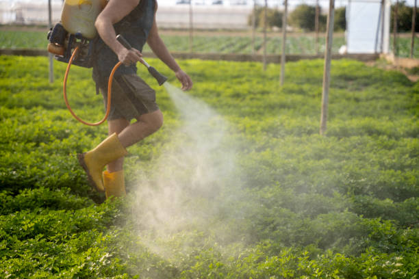 Best Commercial Pest Control Services  in Gueydan, LA