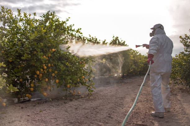 Pest Control for Restaurants in Gueydan, LA