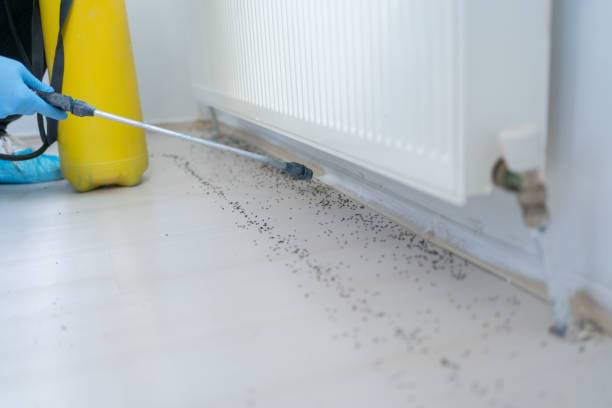 Best Pest Inspection Near Me  in Gueydan, LA
