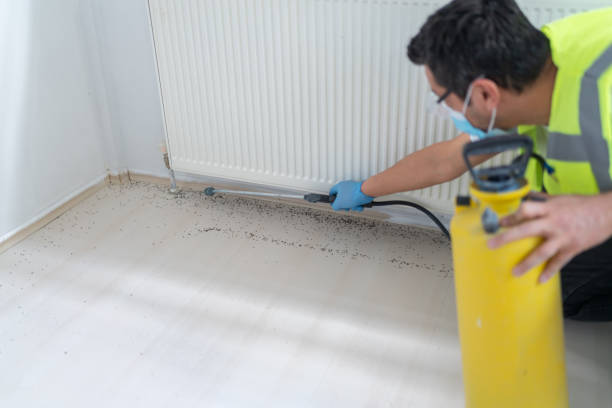 Best Pest Inspection Near Me  in Gueydan, LA
