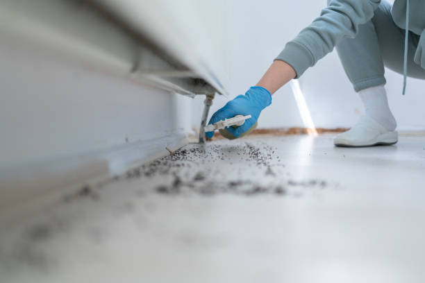Best Pest Control for Restaurants  in Gueydan, LA